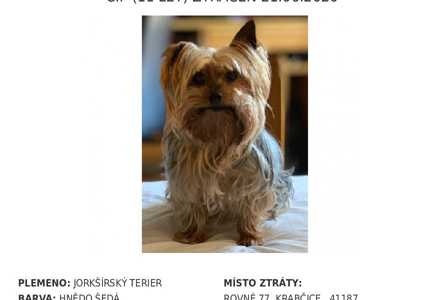 BYLI  JSME POŽÁDÁNI O POMOC, TENTOKRÁT ZTRACENÝ PEJSEK - OBE...