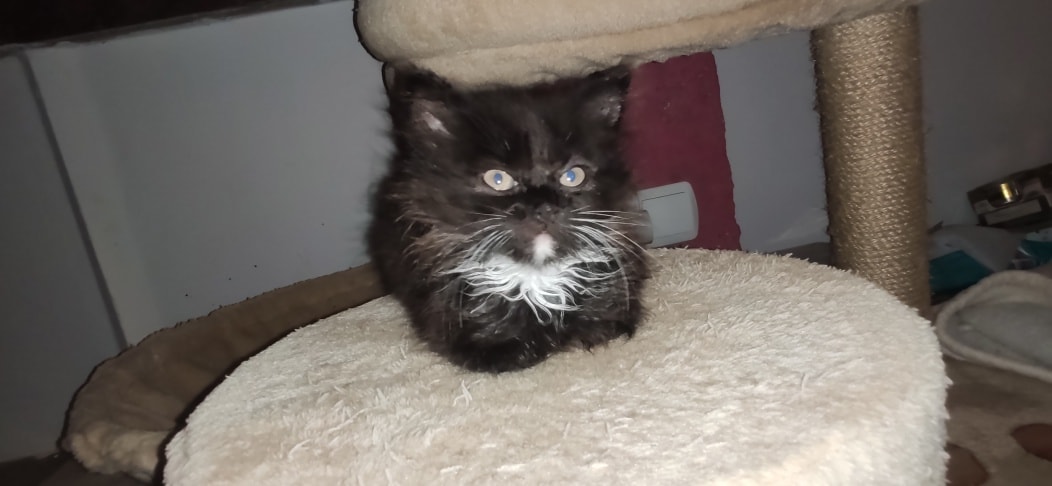 PRÁVĚ VE SLUNÍČKU PROBÍHÁ NEJHORŠÍ OBDOBÍ Z ROKU - SPOUSTA K...