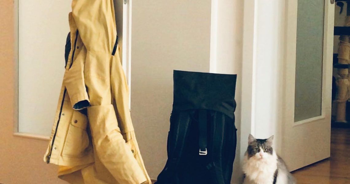 SAMANTA ( nyní Friducha)...