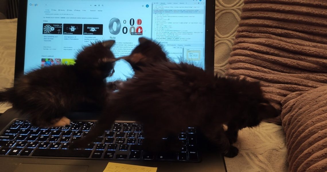 SLUNÍČKOVÁ STATISTIKA LETOŠNÍHO ROKU...