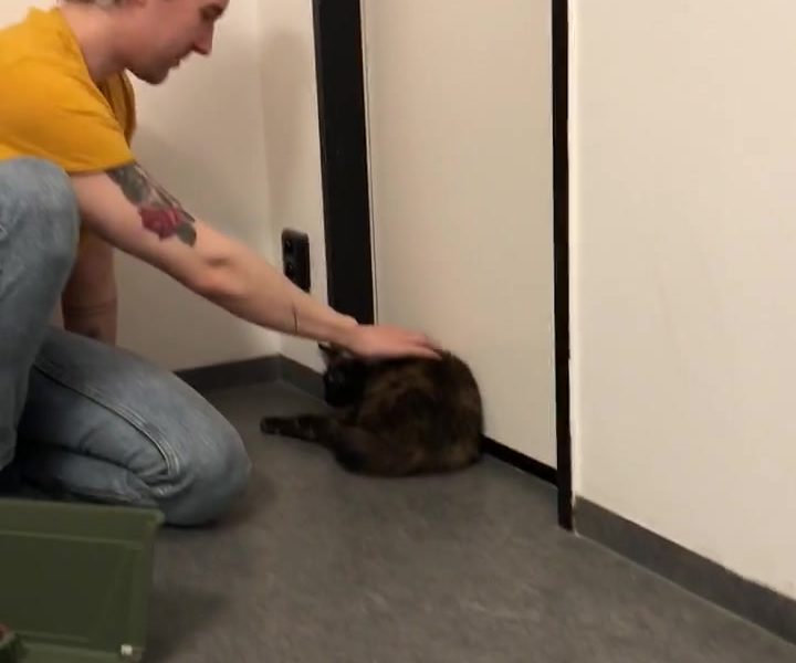 Sledovat ELENKA A JEJÍ NOVÝ CHLUPATÝ PARŤÁK