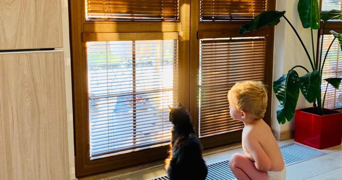 ČERŤAJS ( nyní Kenji)...