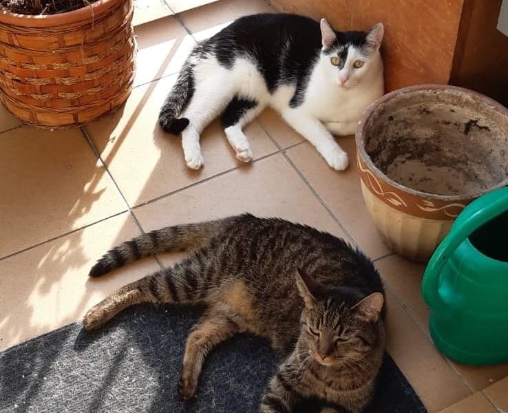 ČOČKA (nyní Anička)...