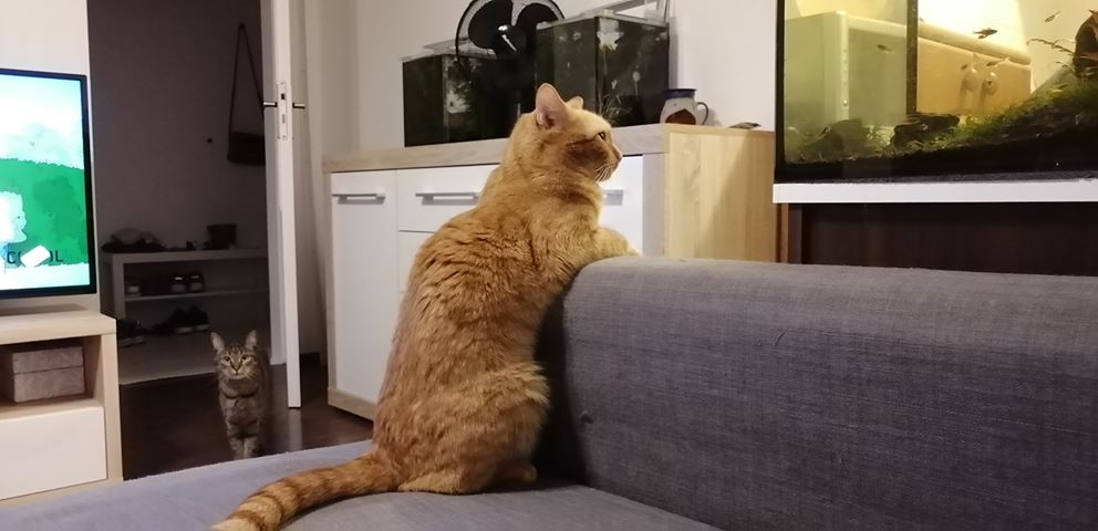 DEŠTNÍČEK ( nyní Dadýsek)...