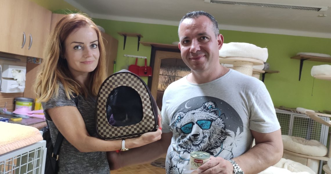 DNES NAŠLA NOVÝ DOMOV TŘI KOŤÁTKA - KONVALINKA A REBELKA S B...