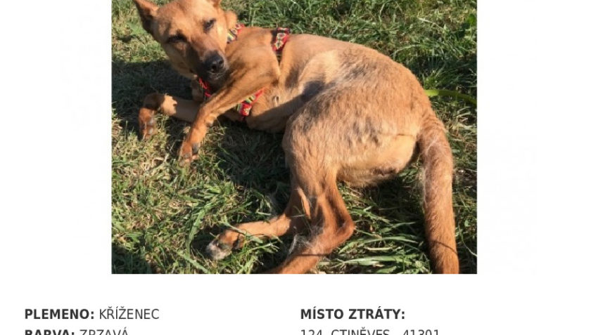 DNES UŽ DRUHÉ SOS, SDÍLEJTE PROSÍM...