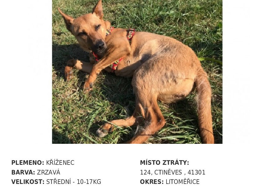 DNES UŽ DRUHÉ SOS, SDÍLEJTE PROSÍM...