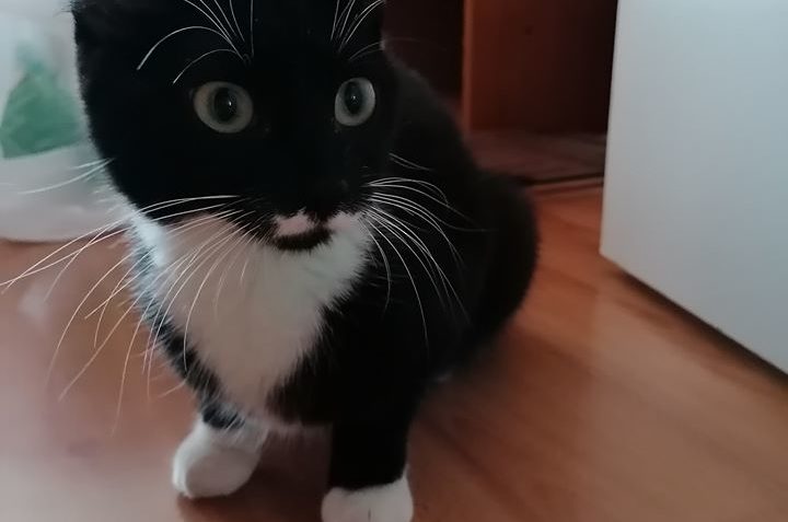 MIA FRANKIE RASPUTINOVÁ JE ZASE ZPÁTKY VE SLUNÍČKU...