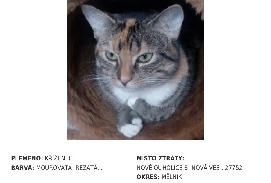 SOS...SOS...SOS, HLEDÁ SE...