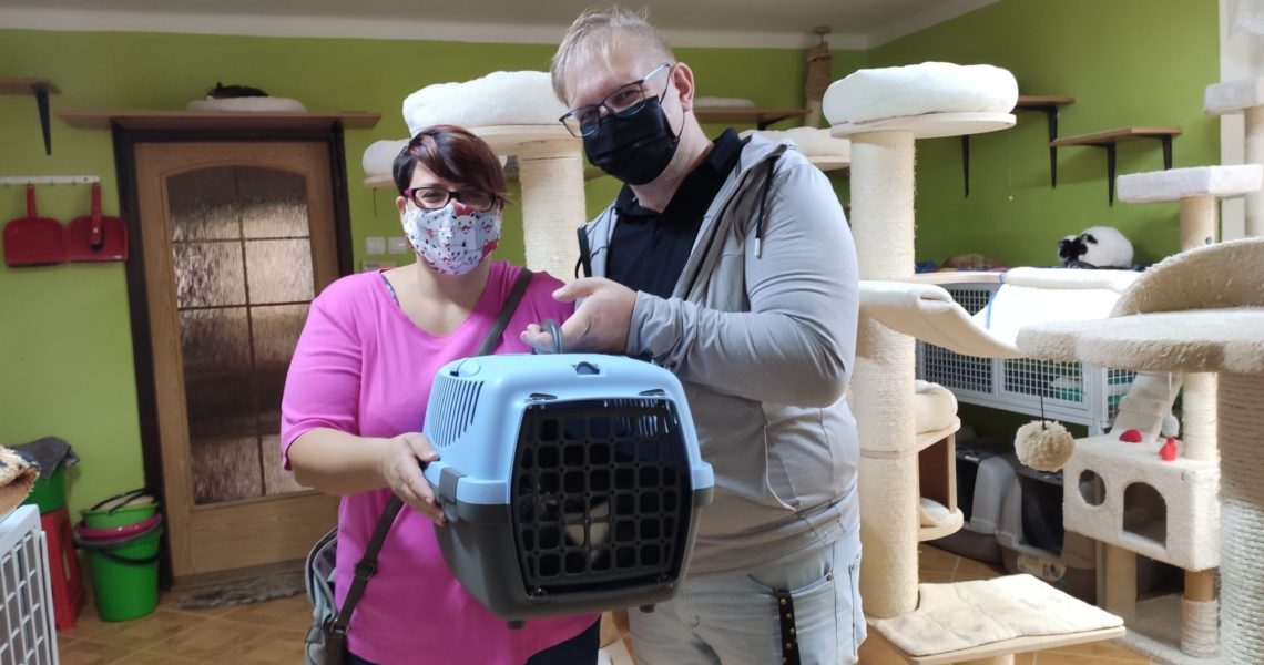 DNES ODJEL DO NOVÉHO DOMOVA KOCOUREK WASABI! VŠEM PŘEJEME HO...