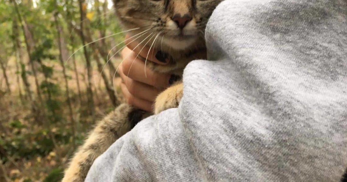 VČERA ODPOLEDNE DVĚ DĚVČATA BYLA V LESE MEZI BECHLÍNEM A DOB...