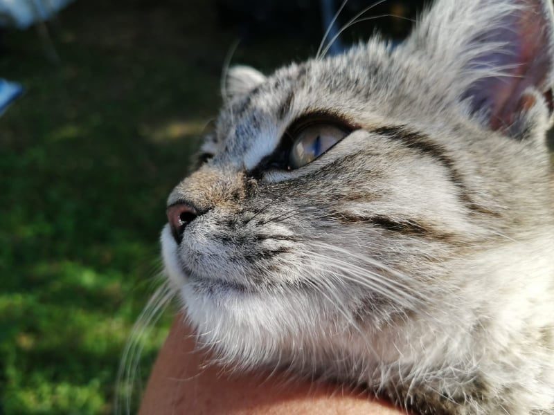 PROSÍM O SDÍLENÍ!!!!...