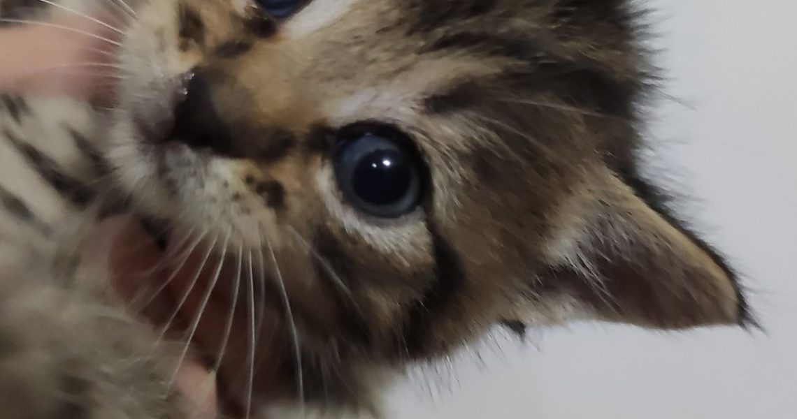 ODCHYTY V KRAVÍNĚ V OBCI SLATINA PŘIPRAVILY PŘEKVAPENÍÚDAJNĚ...