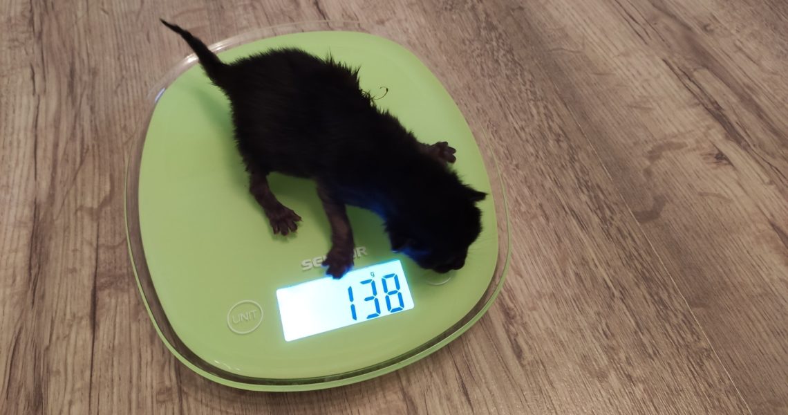 NAŠI NEJMENŠÍ, DNES JE JIM 5 DNÍ....