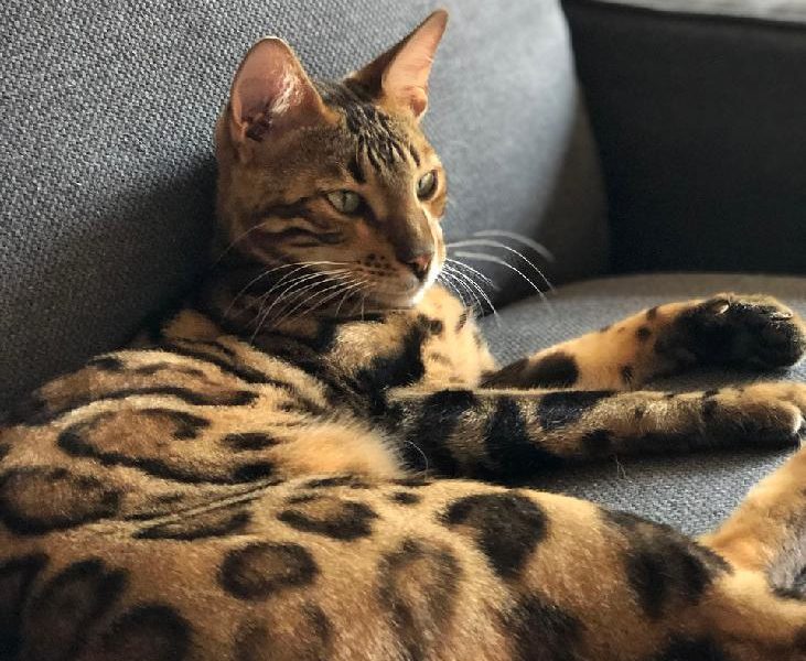 SOS, PRAHA 5-HLUBOČEPYPROSÍME O SDÍLENÍ...