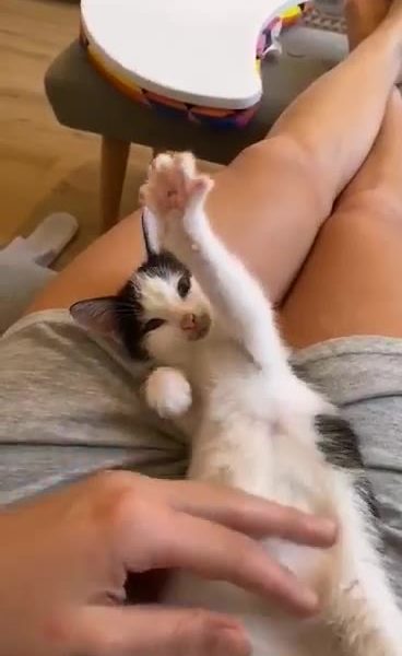 První zprávy od Nutelky :-)
 Dobre ráno, dáváme vědět po p...