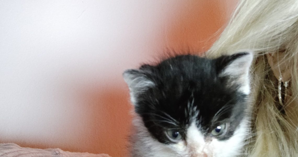 BUBÍČEK NÁS VČERA HODNĚ POTRÁPIL A VYDĚSIL
 Bubík je hodně...