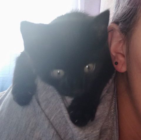 ČESTÍK
POZDRAV Z NOVÉHO DOMOVA POSÍLÁ ČESTÍK -z výšky je p...