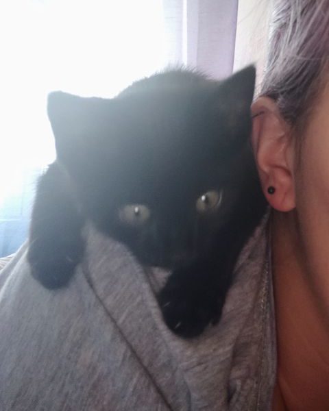 ČESTÍK
POZDRAV Z NOVÉHO DOMOVA POSÍLÁ ČESTÍK -z výšky je p...