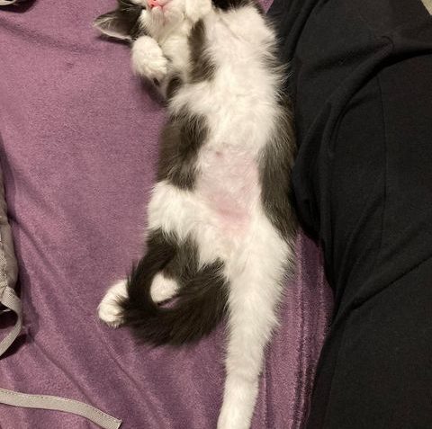 MINNIE
 Minnie zdraví do sluníčka  už máme 1120g.