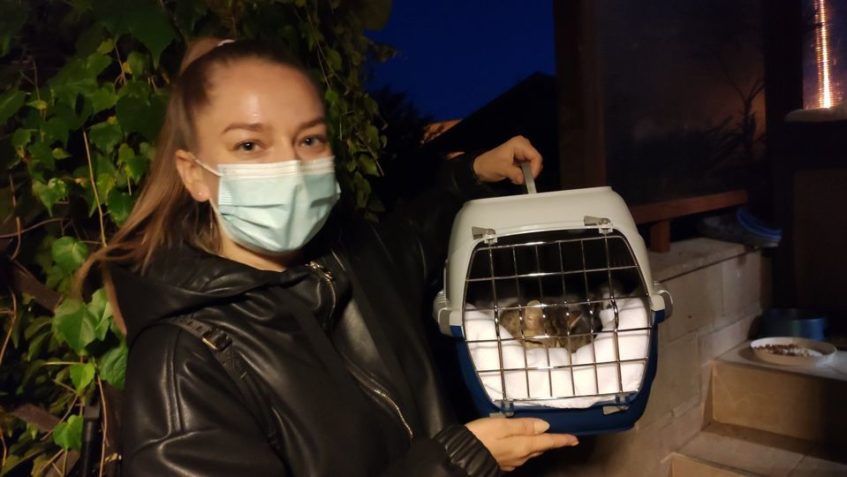 NOVOU MAMINKU DNES NAŠEL MALÝ CHLAPEČEK PRCEK, HODNĚ ŠTĚST...