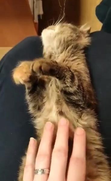 HERMIÓNA KVÍČALOVÁ: "A TAKHLE JSEM ÚŽASNÁ"!




...