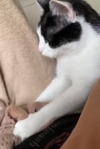 TOMÍK 
 Dobry den, uz je to vic nez dva roky co mame doma ...