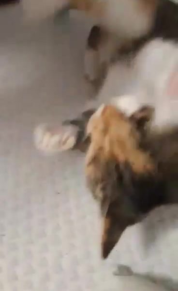 Růženka odmítá rozestlat postel