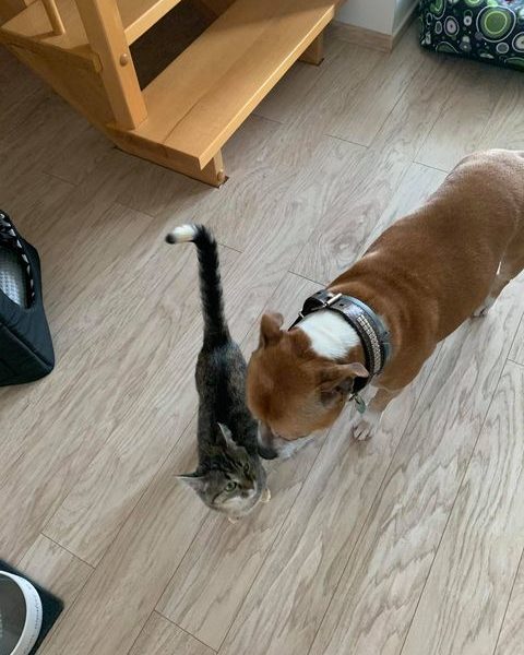 MIRINKA
Ahoj všichni ve Sluníčku, včera to byly tři týdny ...