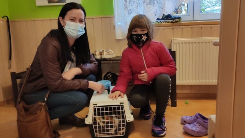 VČERA ODJELY DO NOVÉHO DOMOVA KOŤÁTKA DELISKA A DUMKA. PŘE...