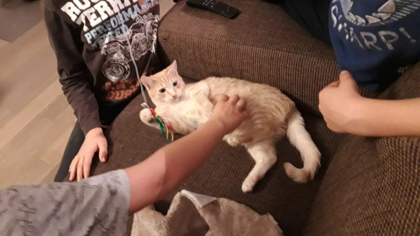 LIŠÁČEK ( Foxík)
 Dobrý večer, tak po první proplakane noc...