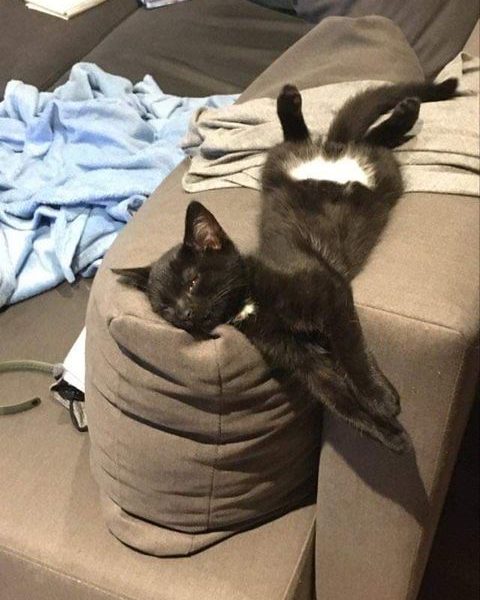 CHUCKIE
Pozdrav do Sluníčka posílá Chuckie. Je t...