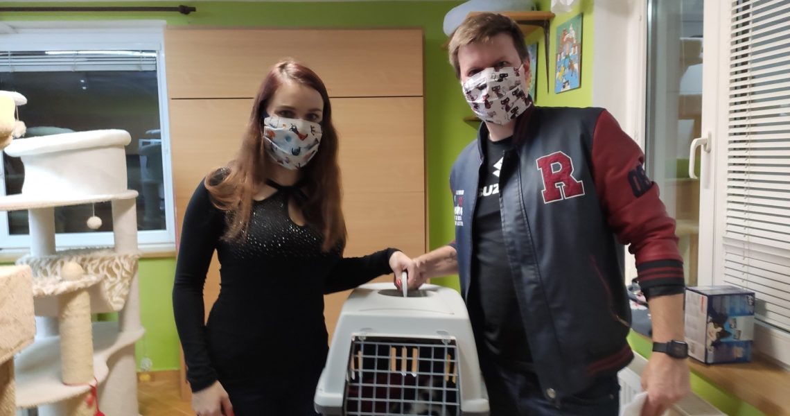 DNES SE KONEČNĚ USMÁLO ŠTĚSTÍ I NA VĚTŠÍ KOČIČKY...