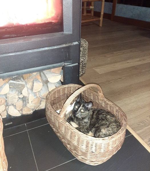 SISSI
Příjemné podzimní večery, aneb u kamen je ...