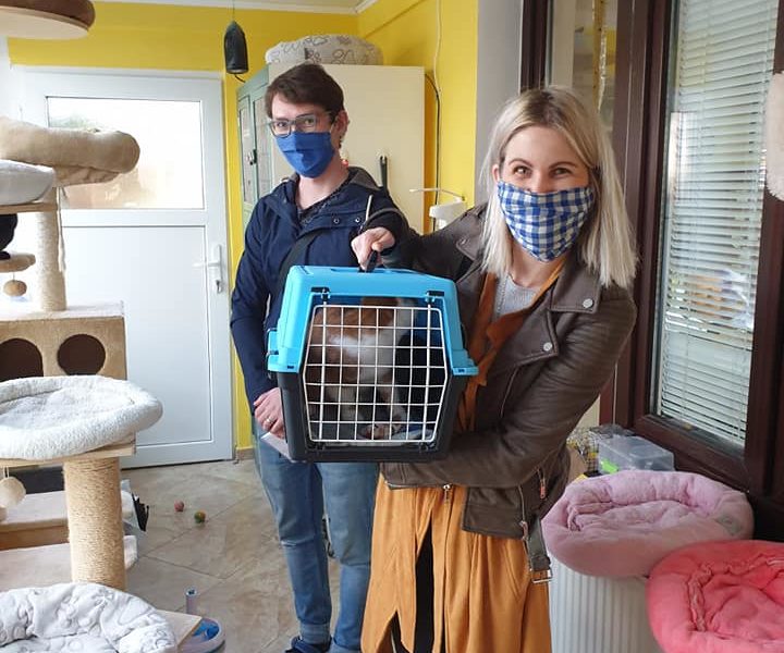 V SOBOTU ODJELY DOMŮ FLORENTA A DOROTKA!  
  Za ...