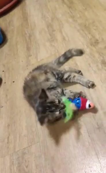 HERMIÓNA KVÍČALOVÁ: "A TAKHLE JSEM ŠŤASTNÁ, KDYŽ...