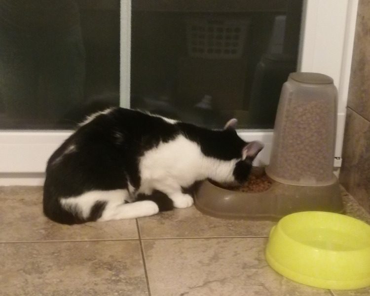 FANFÁNEK
Zdravíme do Sluníčka,
 v pátek jsme si ...