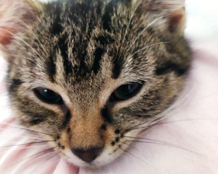 INGRID A KUKAČKA
Dobrý den,
  posíláme pozdrav d...