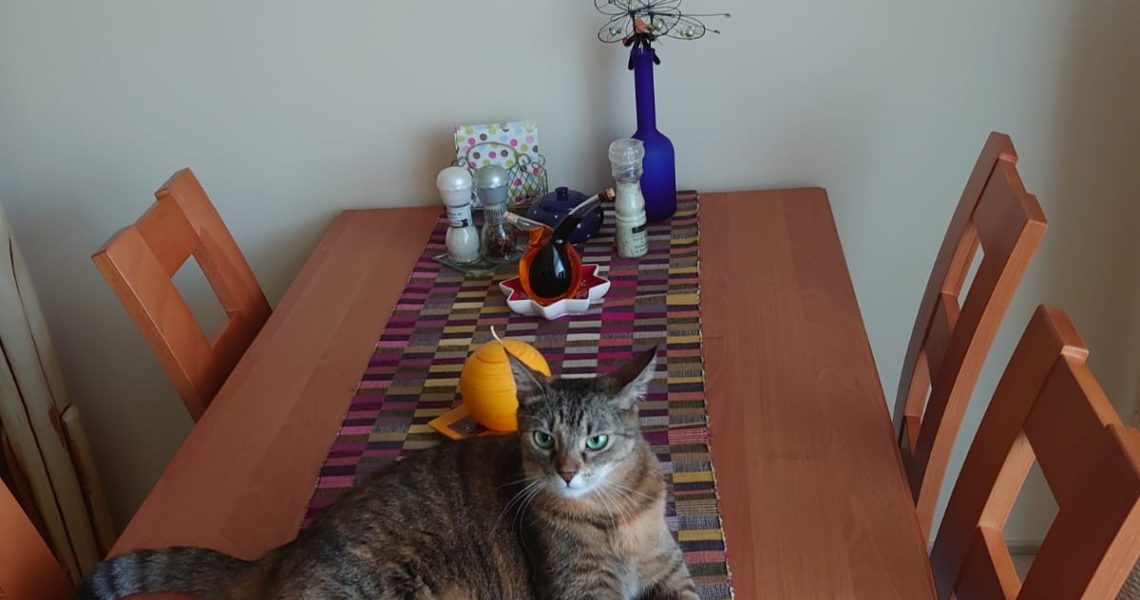 Pozdrav do Sluníčka posílají  Aida a Lidunka. Ké...