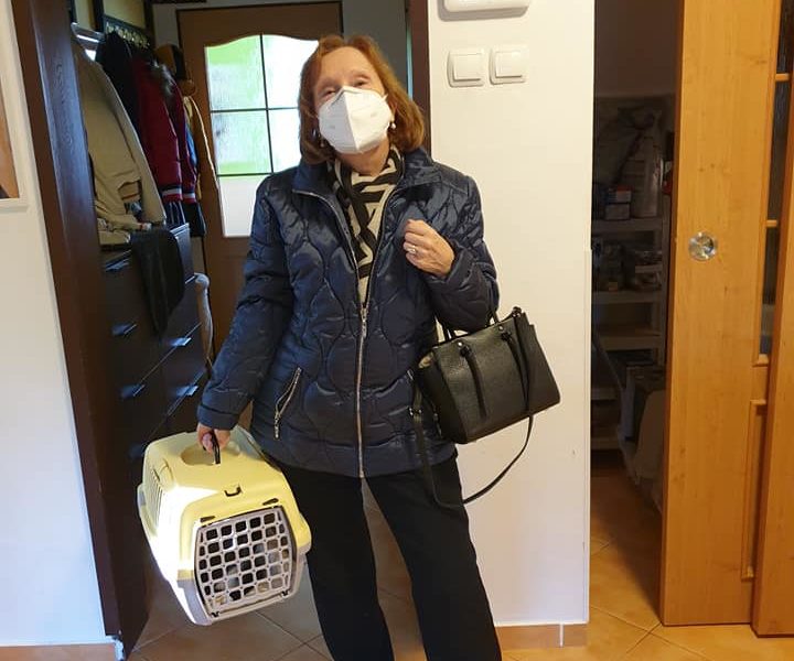 VČERA ODJELI DOMŮ DŽINA, ŘEPÍČEK A BOZITKA SPOLE...