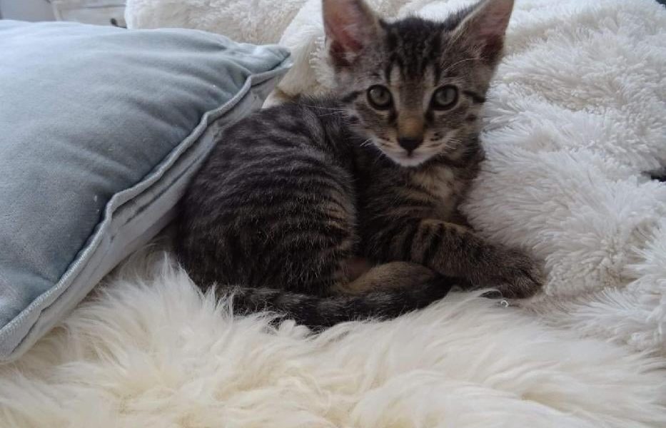 KRÁSNÁ, VYMAZLENÁ, OČKOVANÁ...







NABÍDKA VYMAZLENCŮ A...