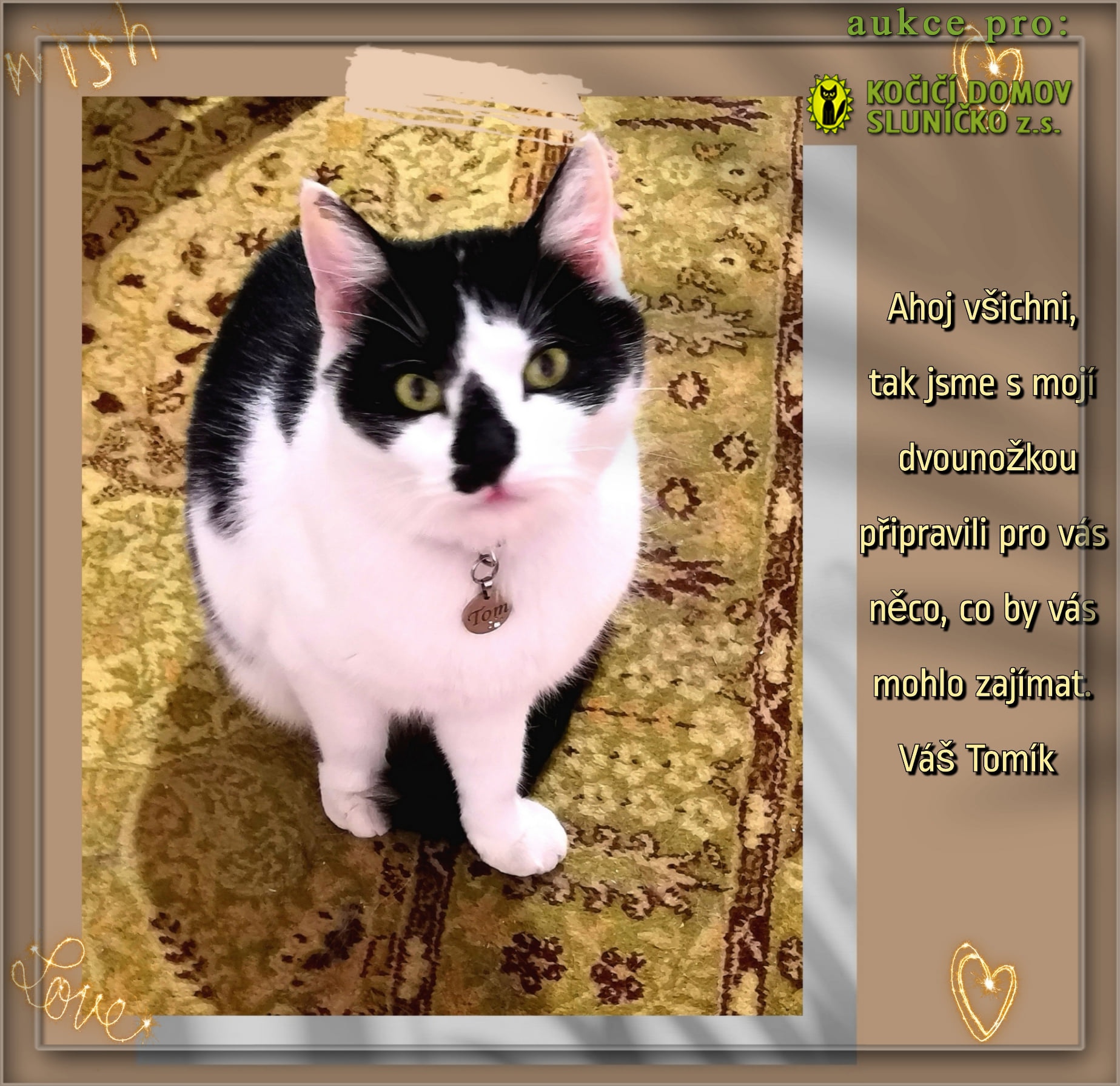 Moc děkujeme Ali Zemanka a Lenka Malinova za vytvo...