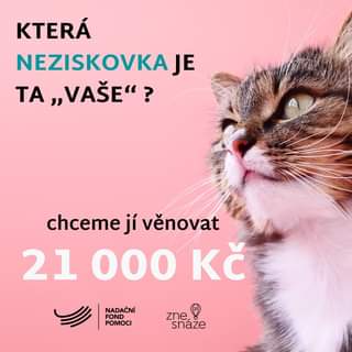 Může jít o obrázek cat a text that says 'KTERÁ NEZISKOVKA JE ΤΑ „VAŠE"? chceme jí venovat 21 000 KČ NADAČNÍ FOND POMOCI zne snaze'