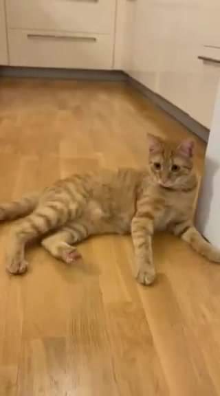 ARTUR A POSLUHA
 Heej ty tam, pojď si se mnou hr...