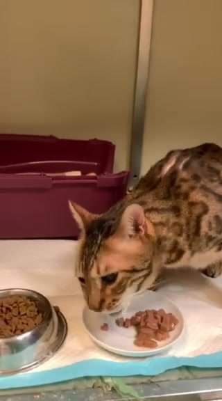 MELMÍKOVI UŽ JE LÉPE DĚKUJEME PANÍ DOKTORCE ZA V...