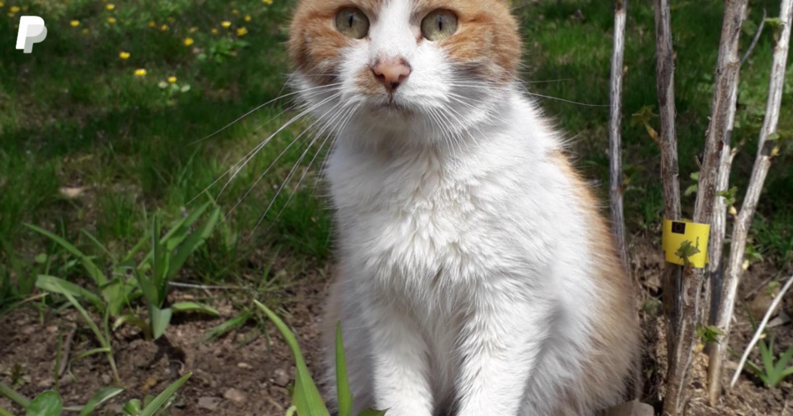 Vážení přátelé, přicházíme s prosbou. Nedávno se...