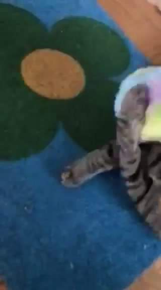 VITANKA bojovnice :-)